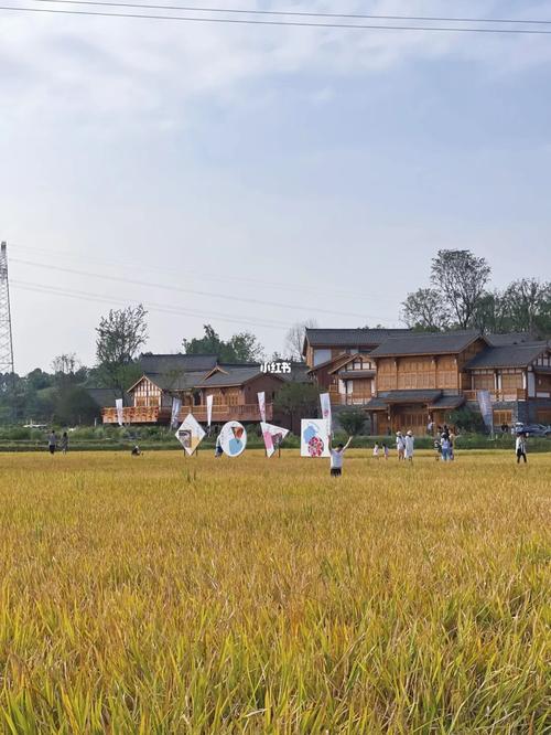 这两天很火的天府新区官塘村
