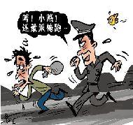 偷车贼被追服软"实在跑不过警察"(图)