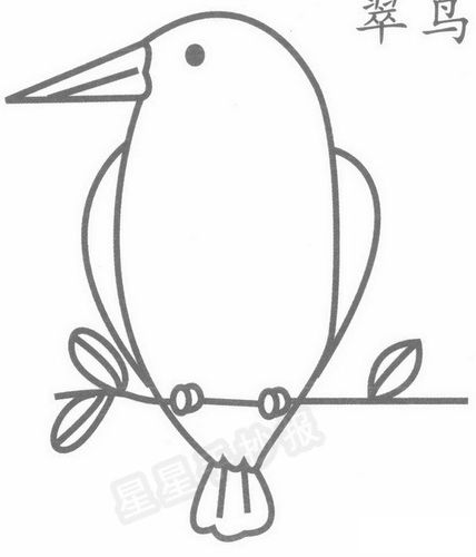 翠鸟简笔画怎么画-儿童简笔画大全