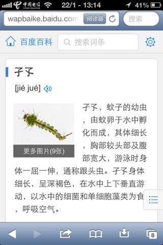 孑孓这两个字怎么说.