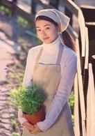 薰衣草许绍洋主演电视剧