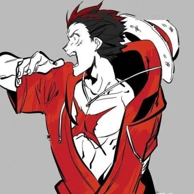 2021超霸气的炫酷的动漫海贼王头像合集 样子倒是还记得声音好久没听