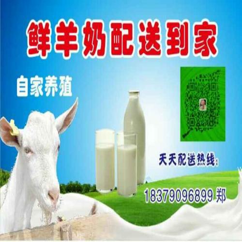 a自家羊奶配送到家