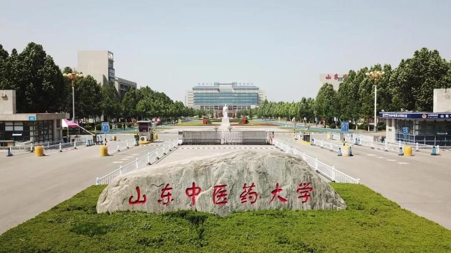 山东中医药大学