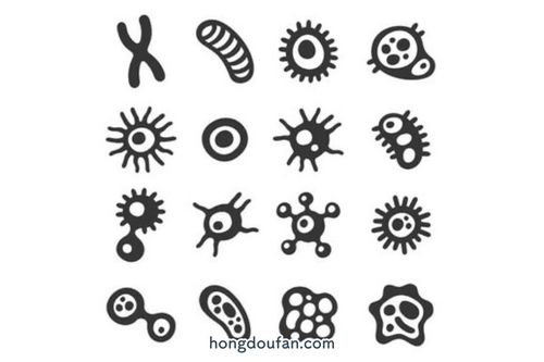 各种细胞的形状化学课简笔画大全