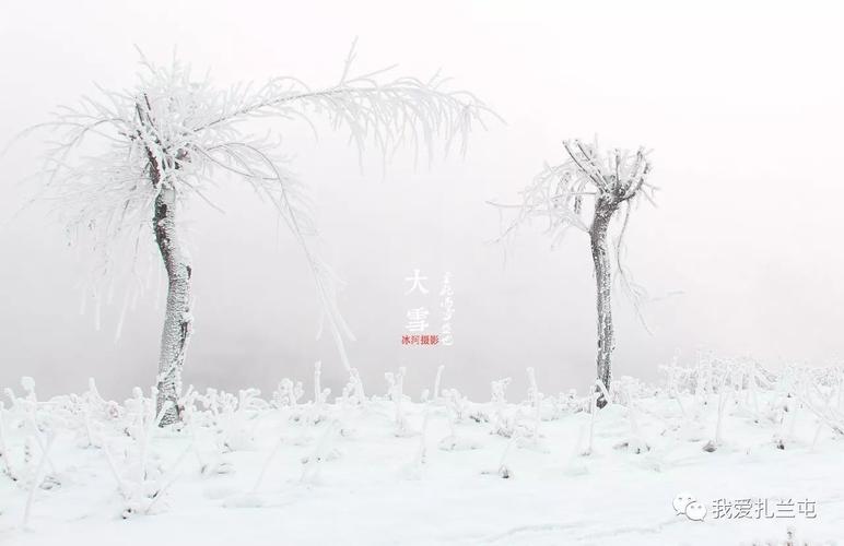 夜深知雪重,时闻折竹声--大雪你好!
