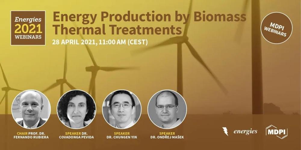energies 邀您与生物质领域杰出科学家探讨最新研究进展 | mdpi