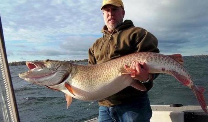 世界十大最凶猛淡水鱼 食人鱼仅排第二