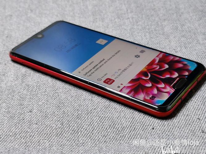 日常发图 夏普r3