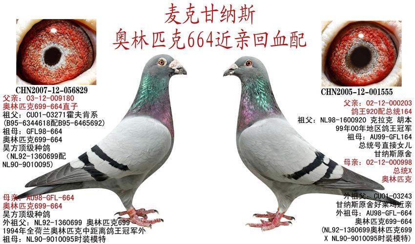 甘纳斯 奥林匹克699回血配