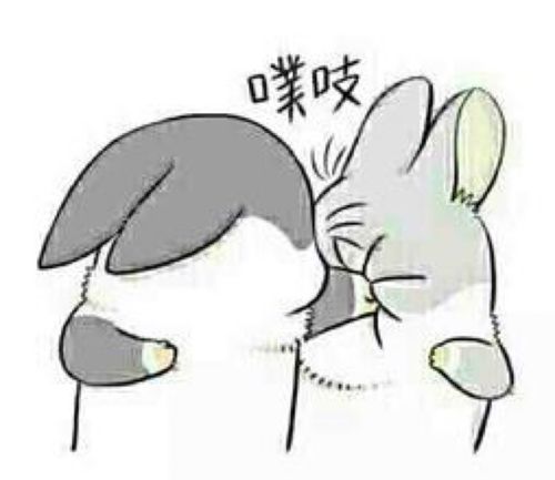 兔子表情包_揍你