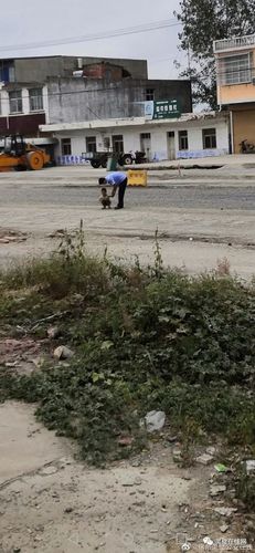 昨天,在灵璧朝阳镇又抓到了一个,看看你认识他吗?