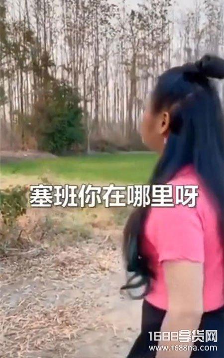 抖音塞班是什么意思 抖音找塞班是什么梗