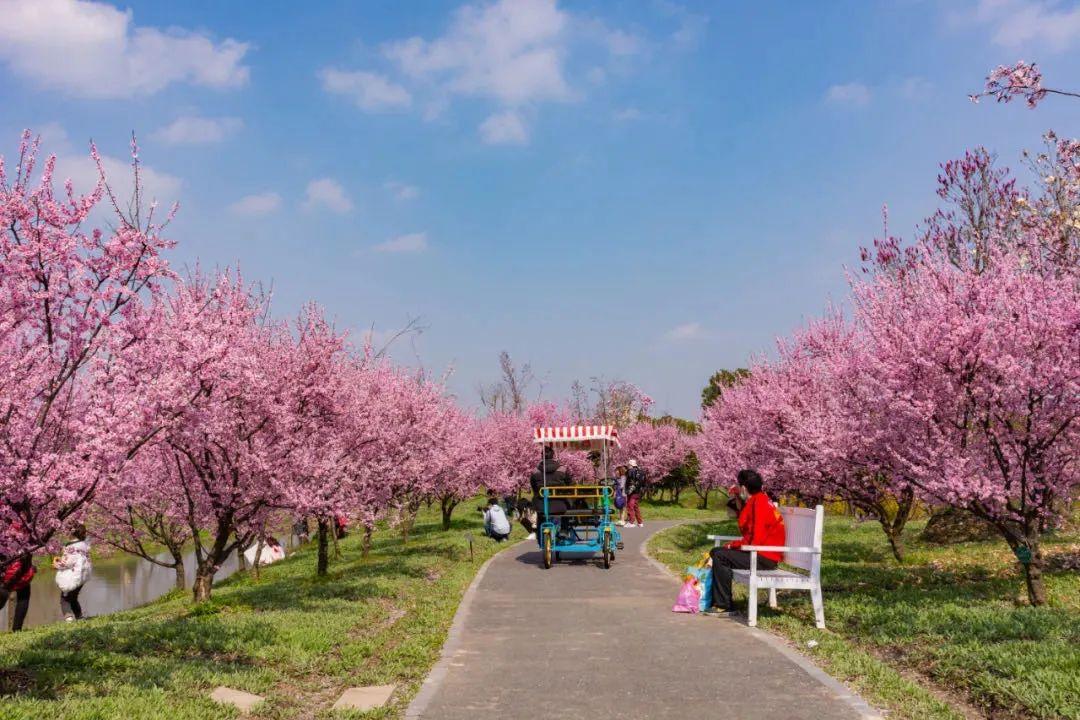 花开海上生态园