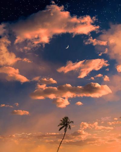 背景图 