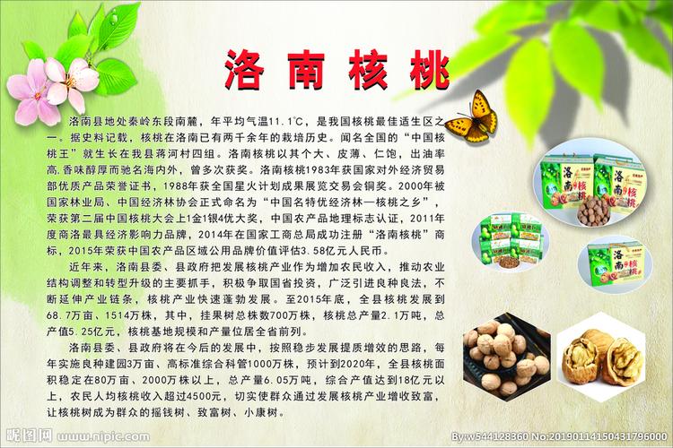核桃展板图片