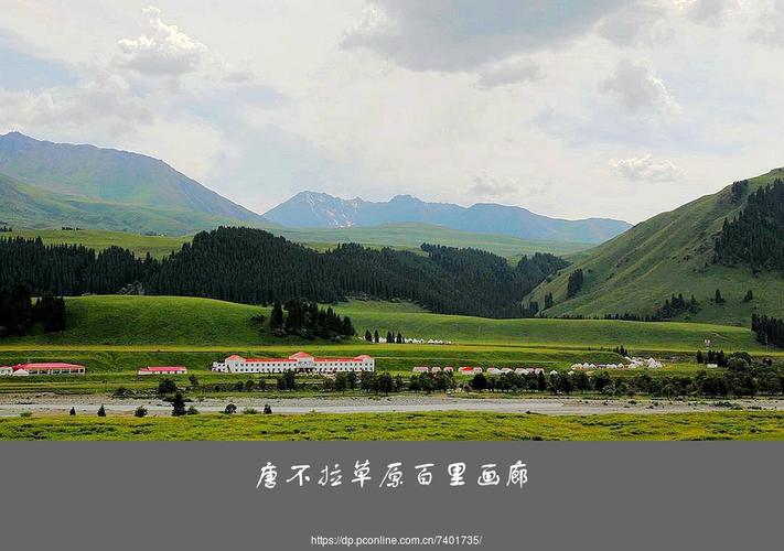 唐布拉草原百里画廊 (共p)