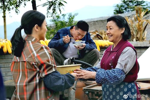 电视剧《初婚》开播三天,收视三连冠!_新浪看点