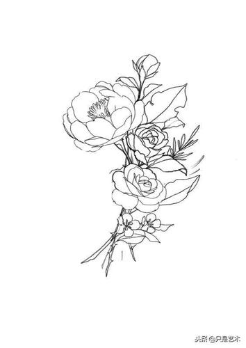 线描黑白花朵合集,一组好素材,值得收藏