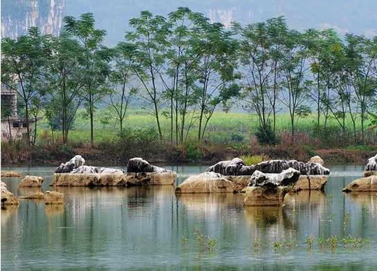 毛塘湿地——众多影友的挚爱之地!