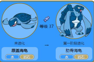 精灵宝可梦原盖海龟图鉴 原盖海龟图鉴属性信息大全