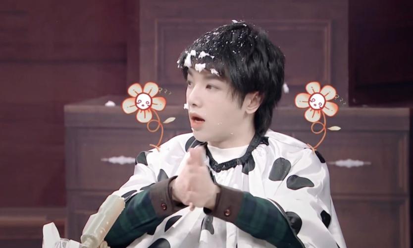 华晨宇 王牌对王牌 - 堆糖,美图壁纸兴趣社区