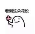 送花花表情包(送花花图片)v2017 完整版