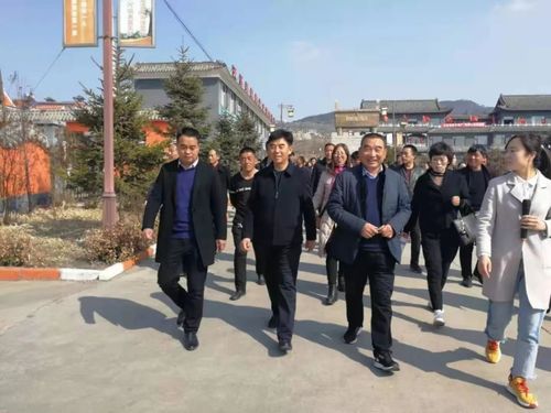 高平市陈区镇考察团来我镇考察学习