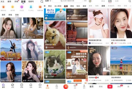周志宏:短视频平台情感主播乱象该好好管管了_手机