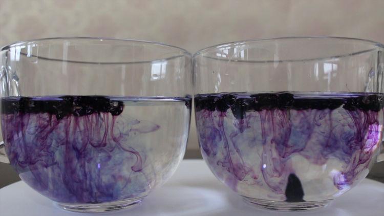 黑枸杞真假难辨?学会这几招,轻松辨别,再也不怕被骗了