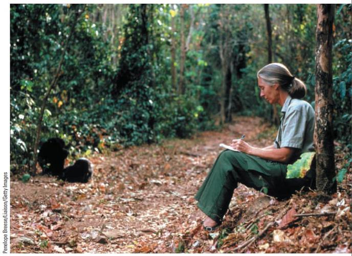 图1.7 灵长目动物学家珍妮·古道尔