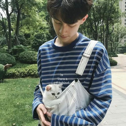 ▼ 玩抖音的小伙伴都知道的陈鹤一▼