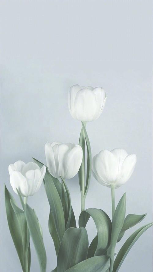 一组冷色调壁纸