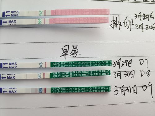 移植冻胚牛宝宝第九天,早孕试纸加深