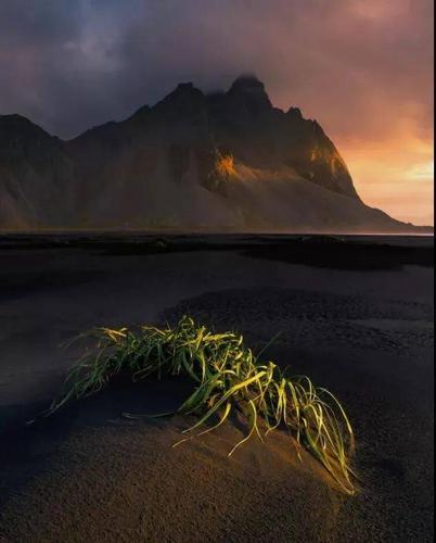 【摄影】2020年世界风光摄影大赛获奖作品!