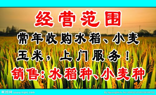 收购粮食名片设计图__名片卡片_广告设计_设计图库_昵