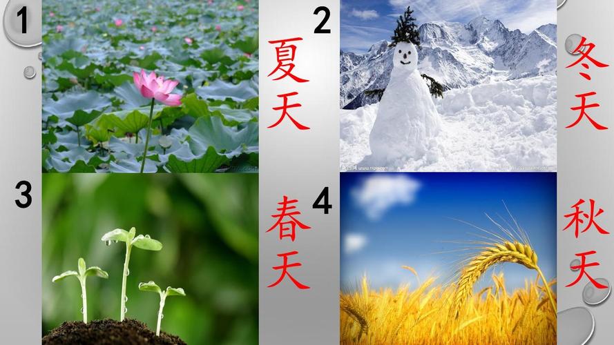 新编人教版一年级下册语文春夏秋冬课件ppt