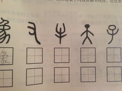 这些是什么象形文字