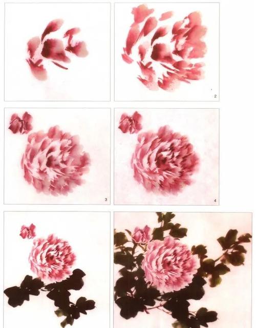 【国画教程】小写意牡丹画法,一学就会!|留白|工笔|花