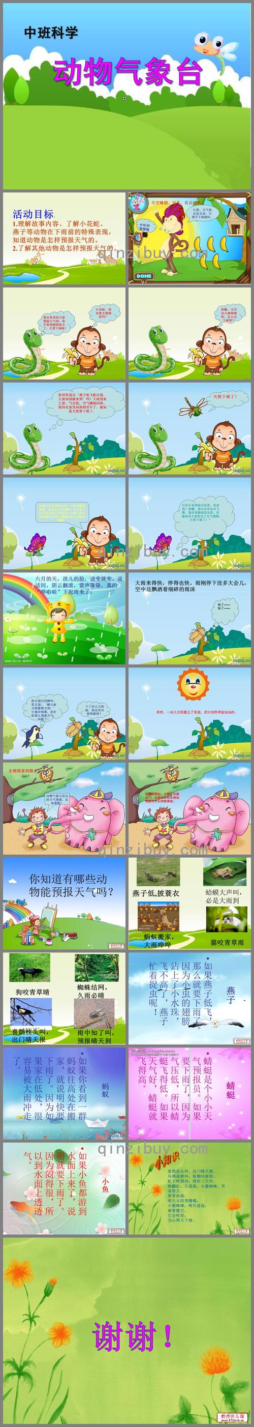 中班科学活动动物气象台ppt课件