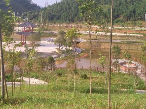 2o17年6月23曰定南县湿地公园