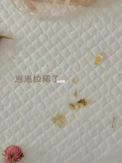 仓鼠拉稀软便治疗经验分享02_仓鼠_麦片_金丝熊_面包_腹泻_肠胃