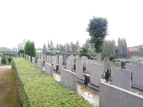 凤凰山公墓_公墓价格_电话_墓地风水-成都找墓网