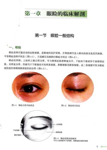 眼睑手术图谱(修订版)(文轩)