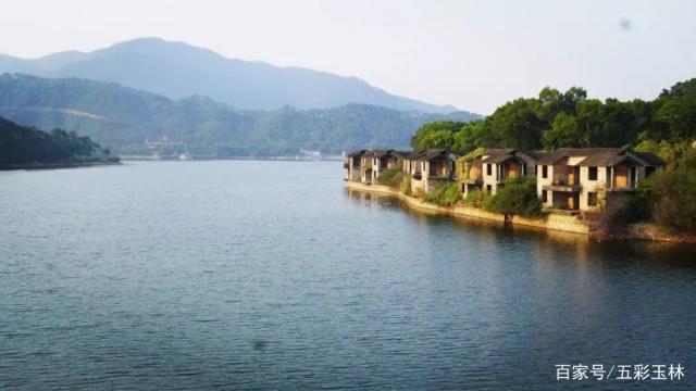 美丽玉林|深秋时节的寒山水库,波光粼粼,水杉倒影