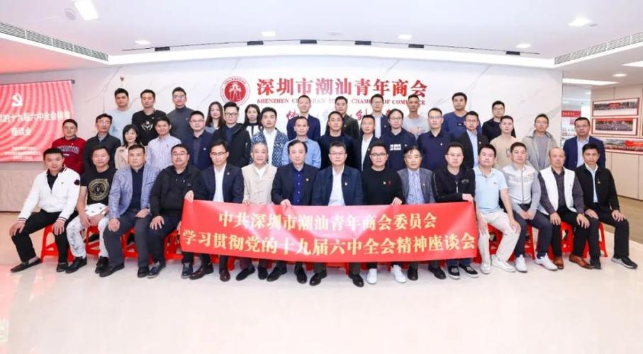 成号古建筑工程有限公司党支部深圳市潮汕青年商会党委优秀基层党组织