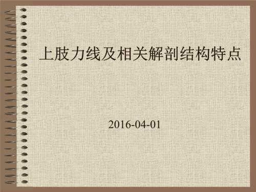 上肢力线及相关解剖结构特点详解.ppt