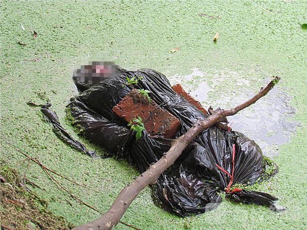 南京女子被绑砖块沉入河底案告破 系情杀