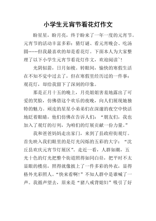 小学生元宵节看花灯作文.docx