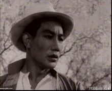 张莹(辽宁省电影演员)